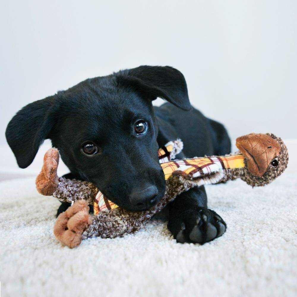 KONG SLV33 Shakers Luvs Giraffe Small Dog Toy - Chew-Resistant Interactive Plush Toy for Puppies & Small Dogs - Perfect for Indoor Play, Training & Teething Relief