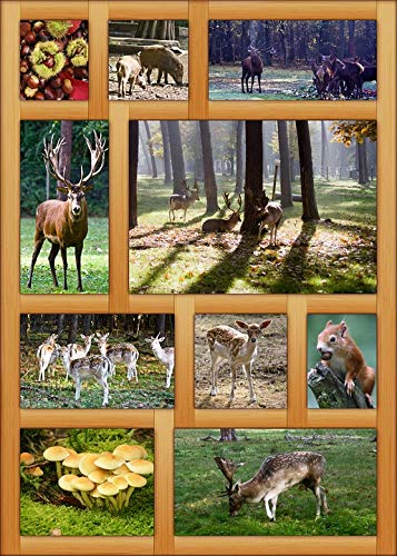 20x30 Inch Autumn October Frame Poster - Vibrant Fall Decor with Laminated Finish for Home & Office - Perfect for Seasonal Wall Art, Living Room, Bedroom & Classroom Decorations