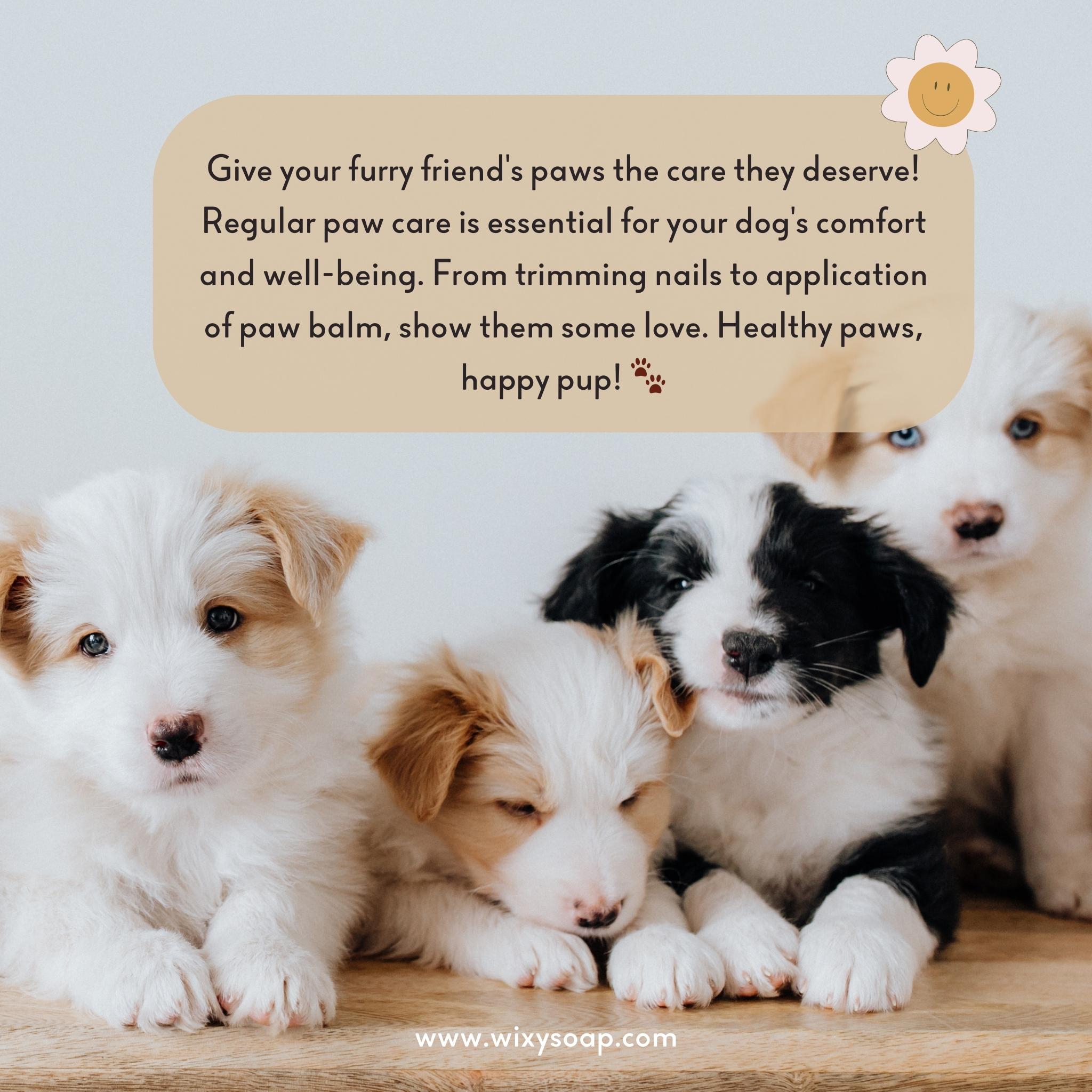 Natural Dog Paw Balm for Dry & Cracked Paws - Moisturizing Pet Paw Protector for All Seasons - Perfect for Walking, Hiking & Winter Protection