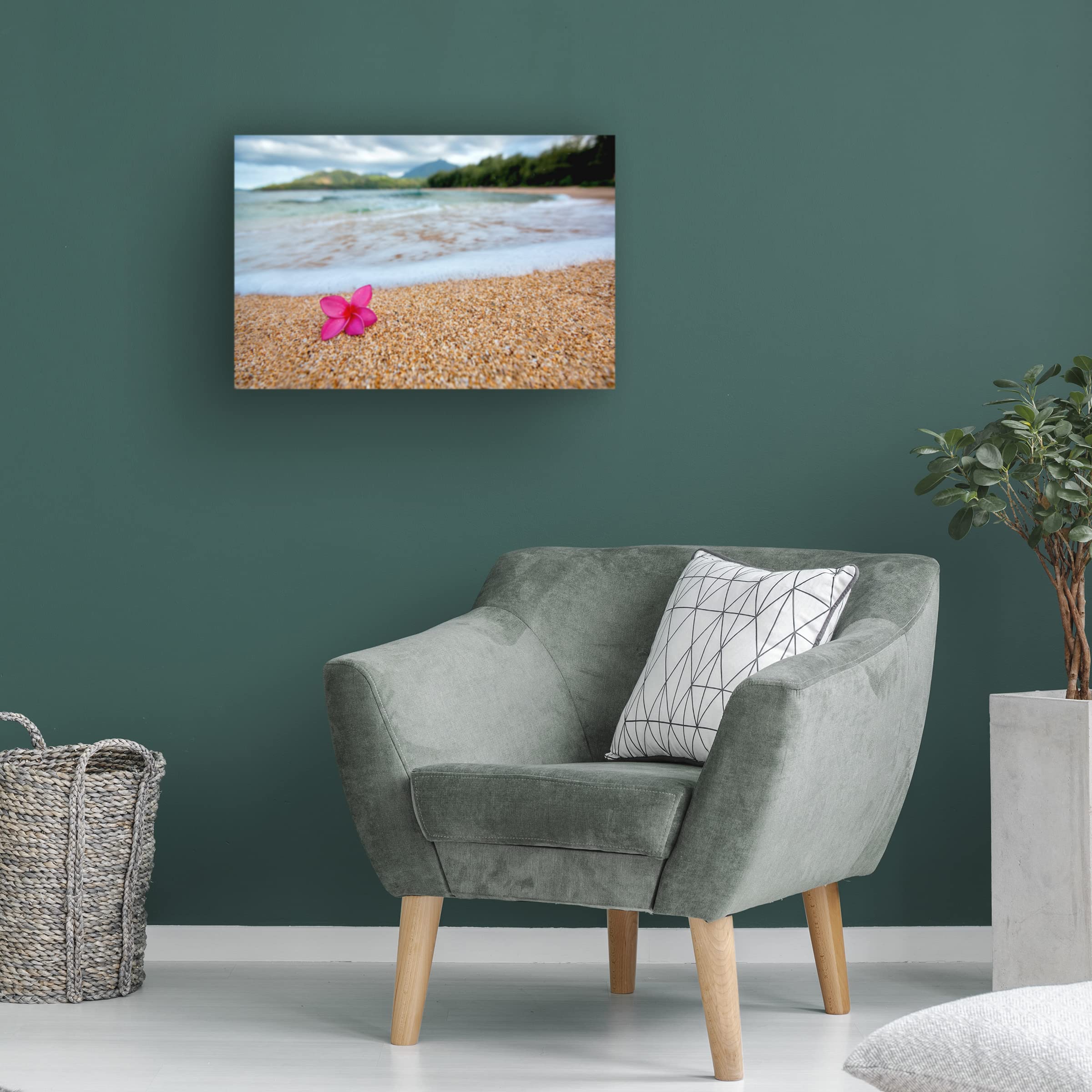 Dennis Frates 'Beach Treasures 4' Canvas Wall Art Print - Coastal Decor for Living Room, Bedroom & Office - Trademark Fine Art Collection