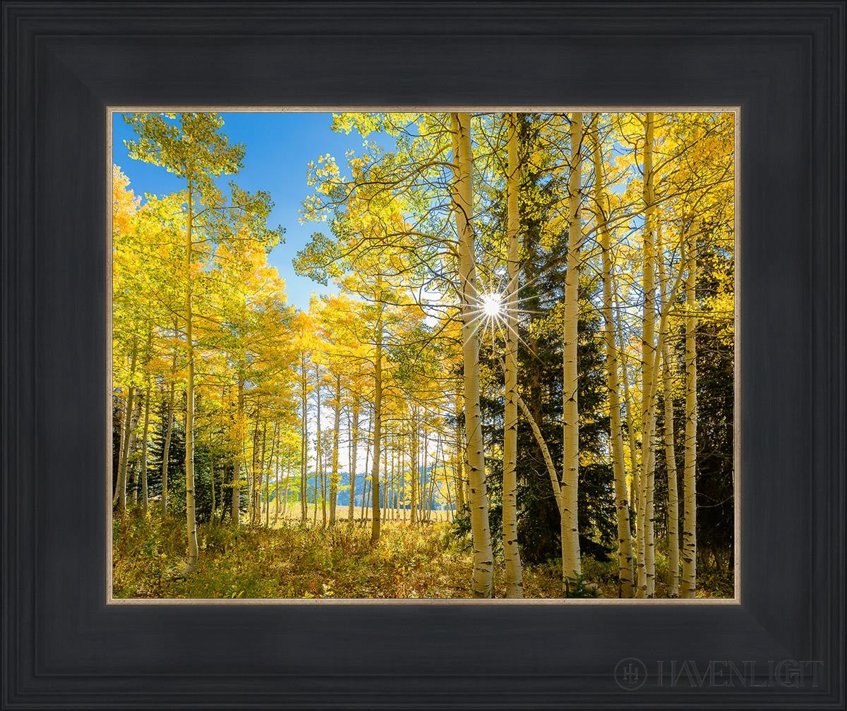 Autumn in the Rocky Mountains - Stunning Fall Foliage at Wasatch National Forest Utah | Perfect for Hiking, Photography & Nature Exploration