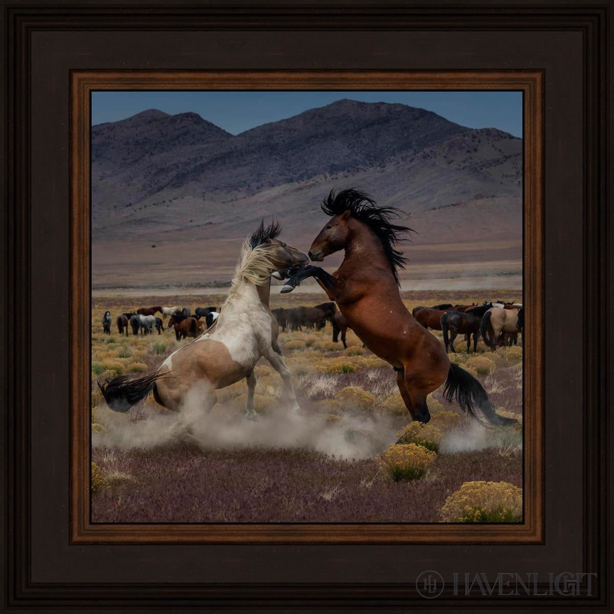 Desert Duel 5 by Greg Sargent - Western Action Novel - Perfect for Book Clubs & Cowboy Adventure Fans