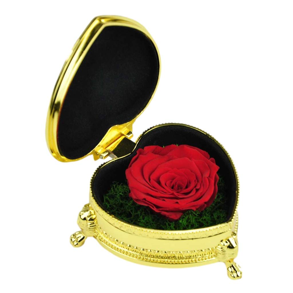 Handmade Preserved Rose in Heart-Shaped Box - Eternal Flower Gift for Valentine's Day, Anniversary & Birthday (Red) | Romantic Home Decor & Wedding Centerpiece