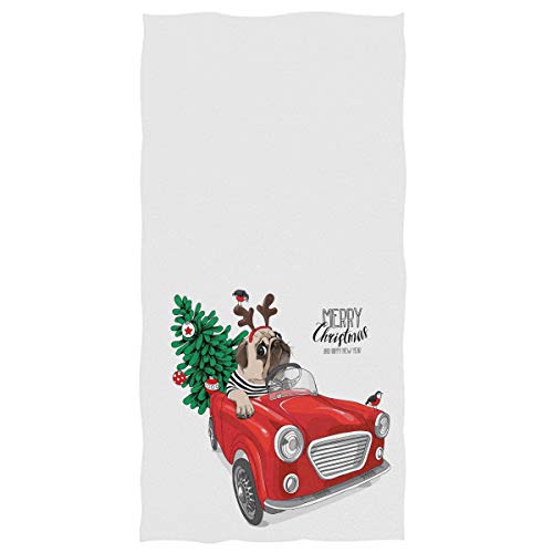 Dog Red Truck