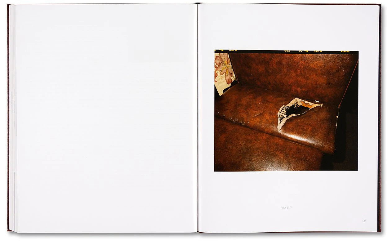 Deana Lawson, Peter Eleey & Eva Respini: Contemporary Photography Books for Art Collectors - Perfect for Home Decor, Gallery Displays, and Art Education