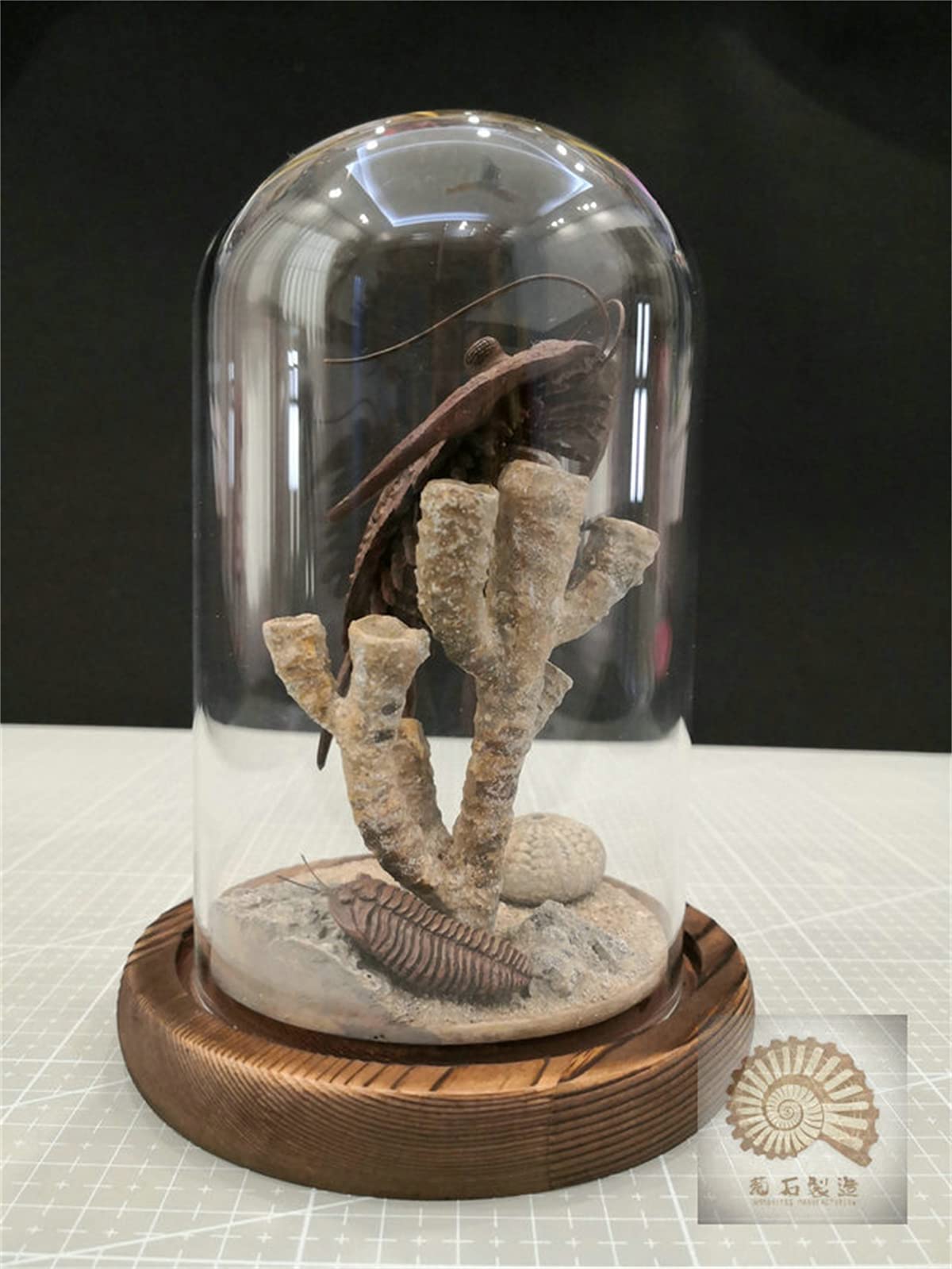 VWUVWU 1:1 Scale Trilobite Fossil Model - Realistic Arthropod Skeleton Figure, Resin Collector's Decor & Unique Gift for Adults - Perfect for Paleontology Enthusiasts, Home Office Display & Science Education