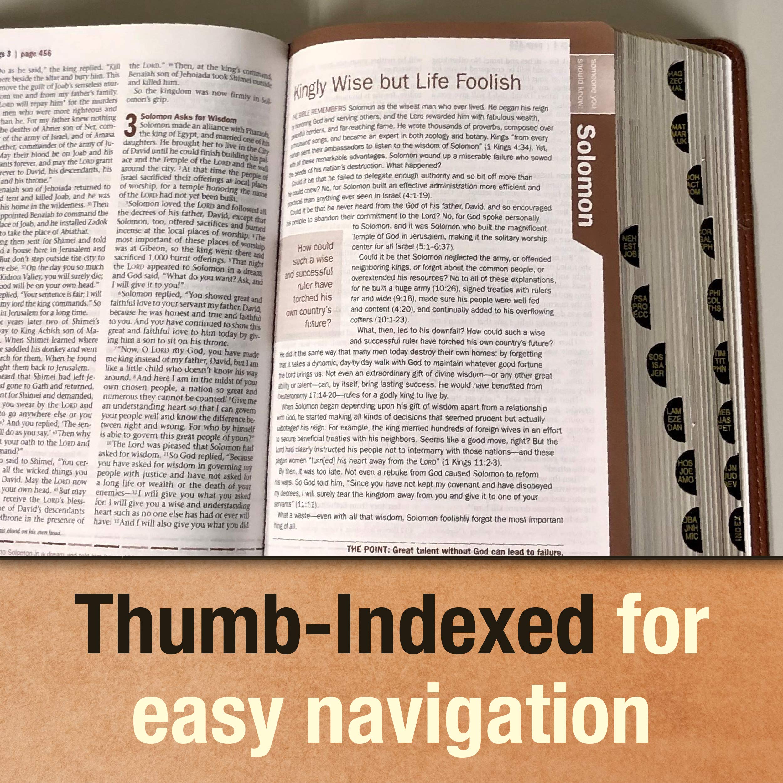 Every Man's Bible NIV, Large Print, LeatherLike Cover - Onyx/Black Indexed Study Bible for Men with Study Notes, Book Introductions & 44 Charts | Perfect for Personal Devotion, Men's Bible Study Groups & Spiritual Growth
