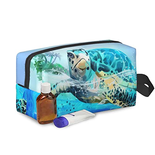 Turtle Swimming