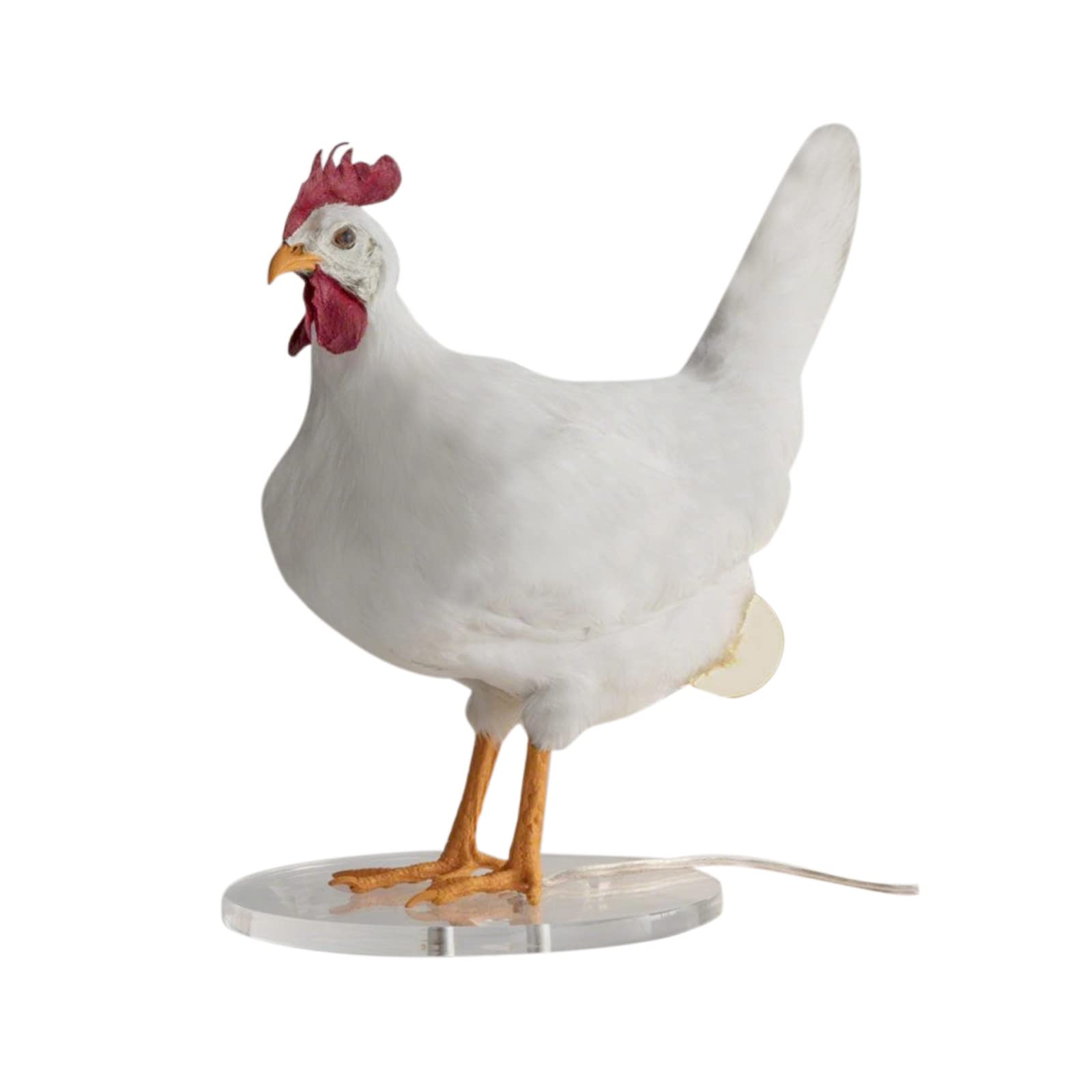 Realistic 3D LED Chicken Egg Table Lamp - Lifelike Resin Egg Night Light for Kids Room, Bedroom & Living Room Decor | Energy-Efficient Cute Nightlight for Nursery, Dorm & Home Interior Design