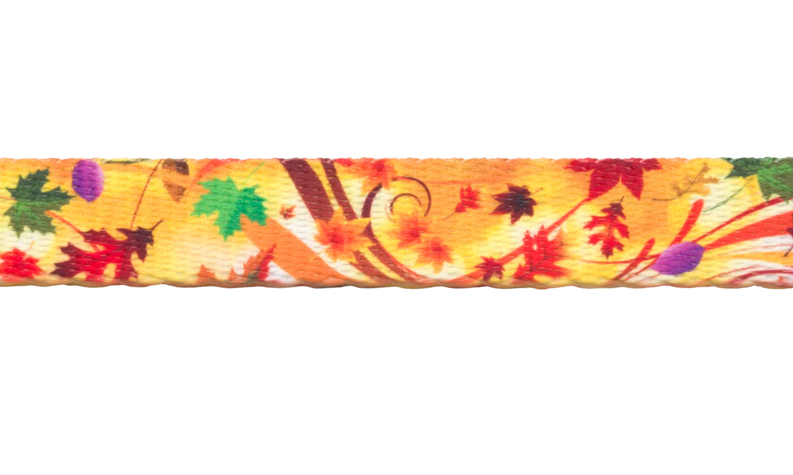 Country Brook Design - Autumn Wind Polyester Webbing for Dog Collars, Leashes & Pet Accessories - Durable Outdoor Gear for Hiking, Walking & Training