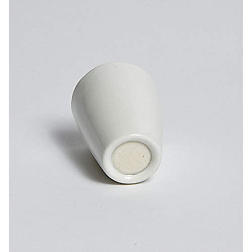 United Scientific Supplies JCP25150 Porcelain Porous Bottom Crucible - 25ml Capacity, 15µm Pore Diameter (Pack of 8) - Ideal for Chemistry Labs, Filtration Experiments & Scientific Research