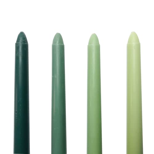 Green Shades-1Pack