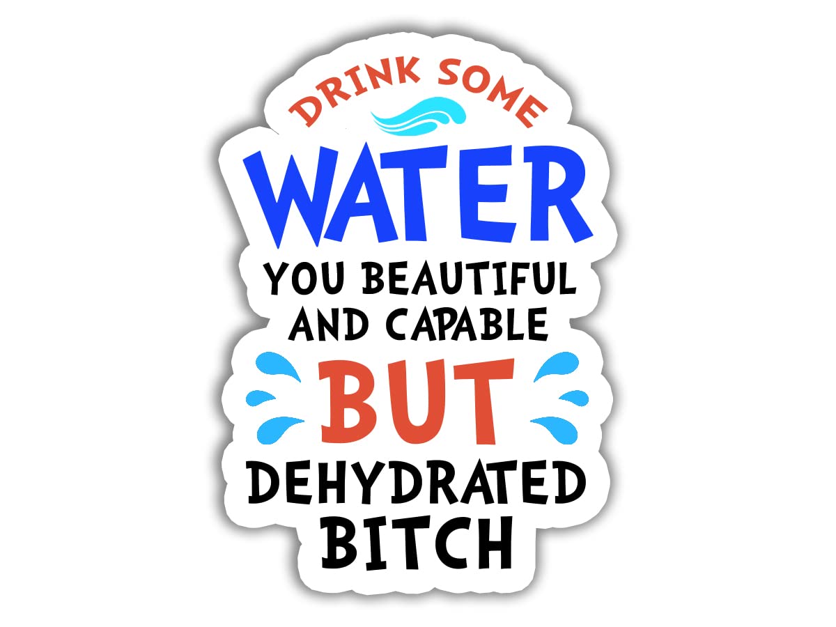 3 Pack Funny Hydration Reminder Stickers - 'Drink Water You Beautiful & Capable But Dehydrated' Motivational Water Bottle Stickers for Laptops, Notebooks, Phones, Bumpers, Windows & Lockers - Perfect for Office, Gym & School Hydration Motivation