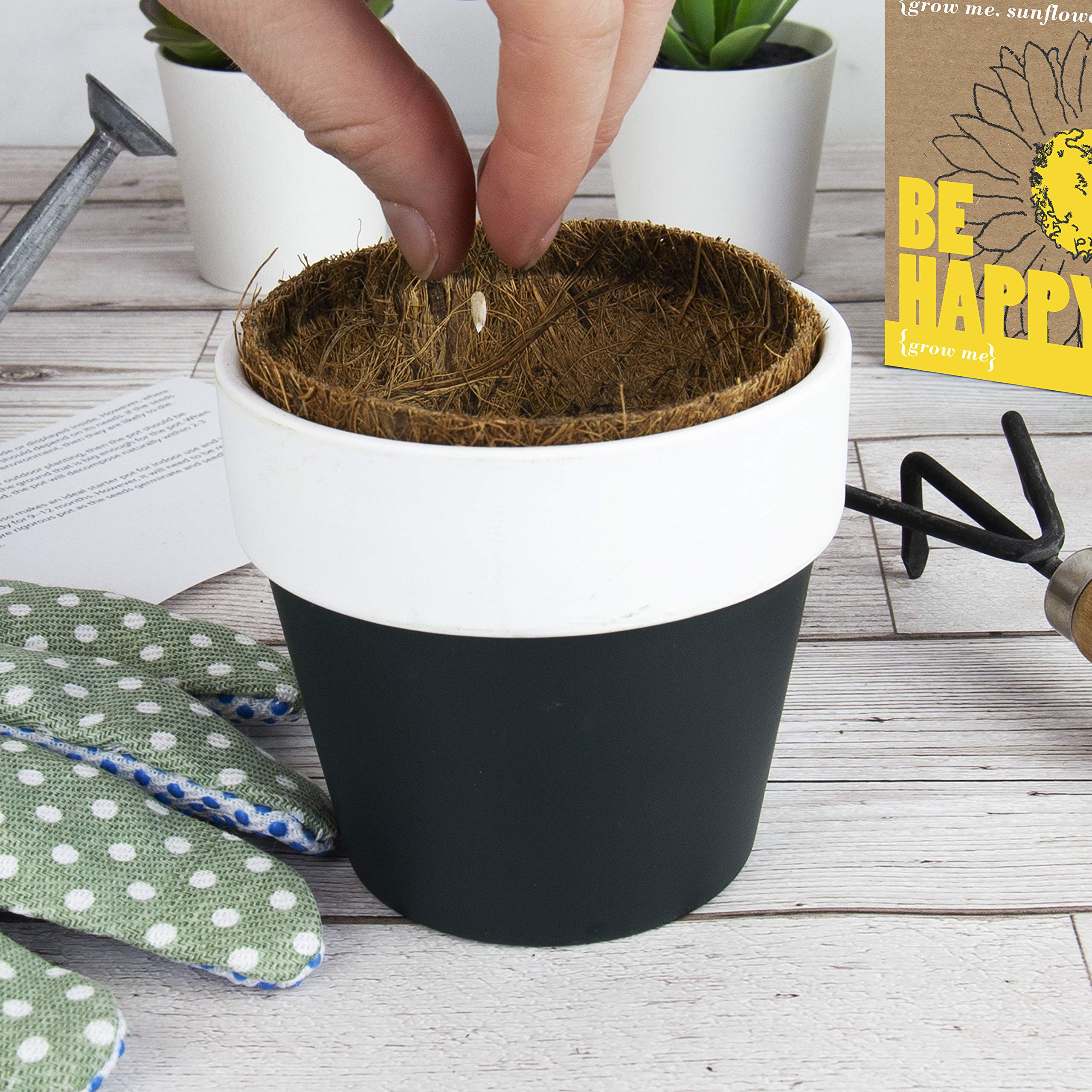 Gift Republic Grow Me Be Happy Gift Box - Unique Plant Growing Kit for Indoor Gardening, Perfect Gift for Plant Lovers, Birthday & Housewarming Presents - Enjoy Home Gardening & Relaxation