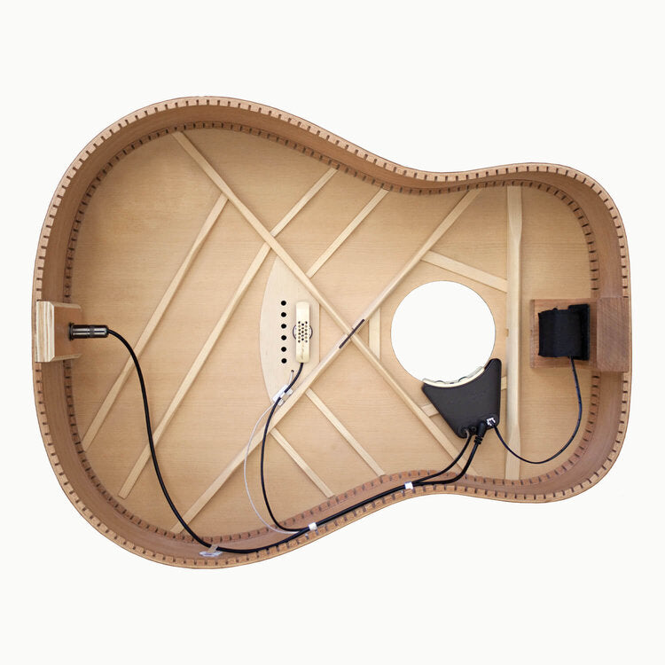 LR Baggs Anthem Acoustic Guitar Pickup System - Premium Internal Mic & Element for Natural Sound - Perfect for Live Performances & Studio Recording