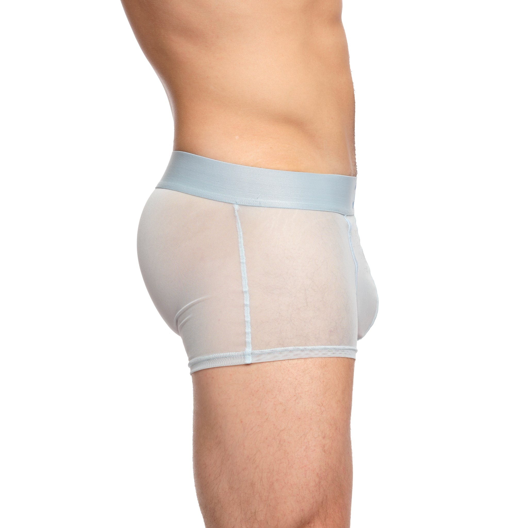 Just The Bones Sheer Trunk Sky - Comfortable & Stylish Women's Underwear for Everyday Wear, Sleep & Lounge