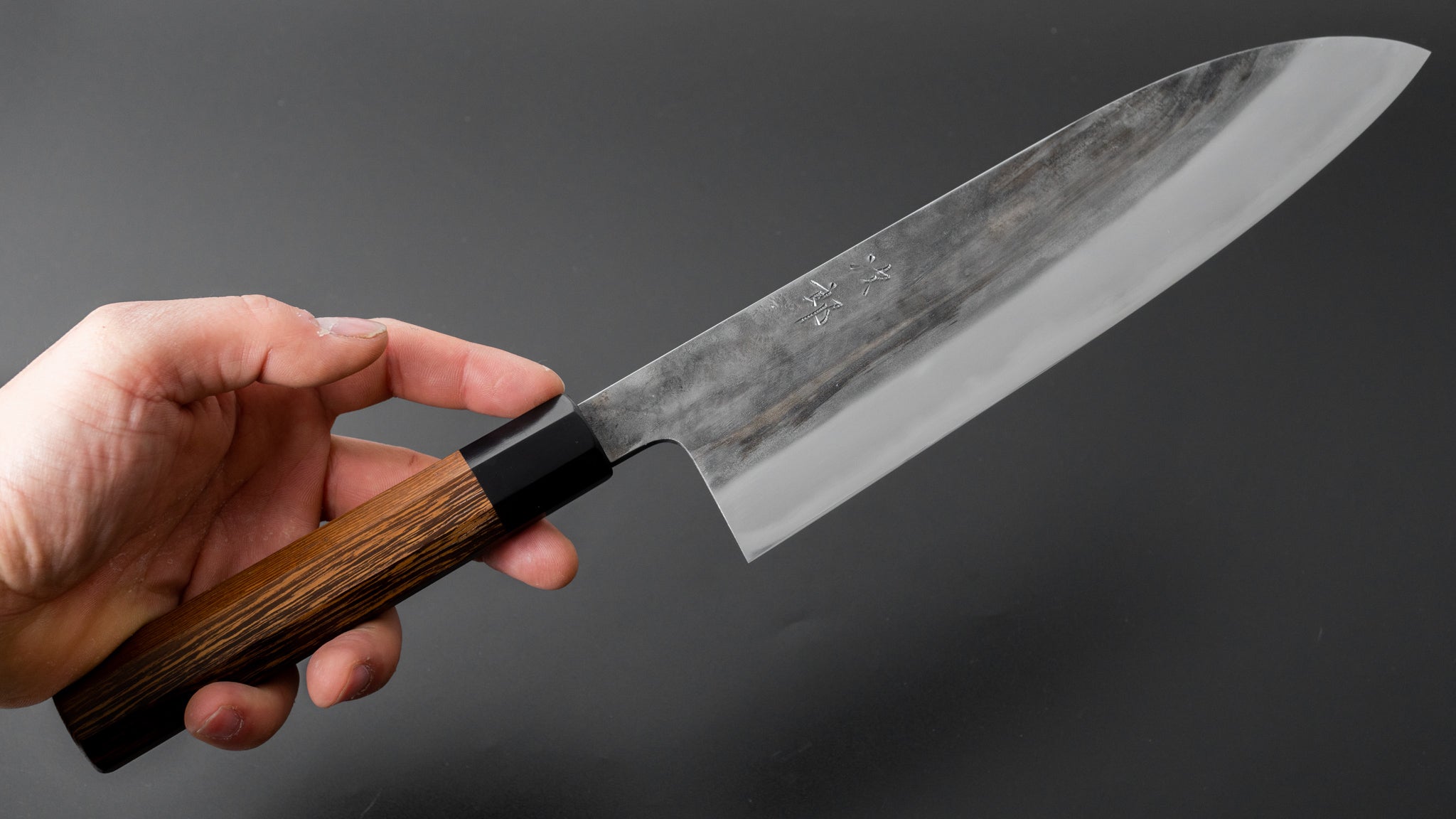 Premium Jiro Tsuchime Wa Gyuto 240mm Japanese Chef Knife with Taihei Tagayasan Handle - Perfect for Sushi, Meat Cutting & Professional Kitchen Use