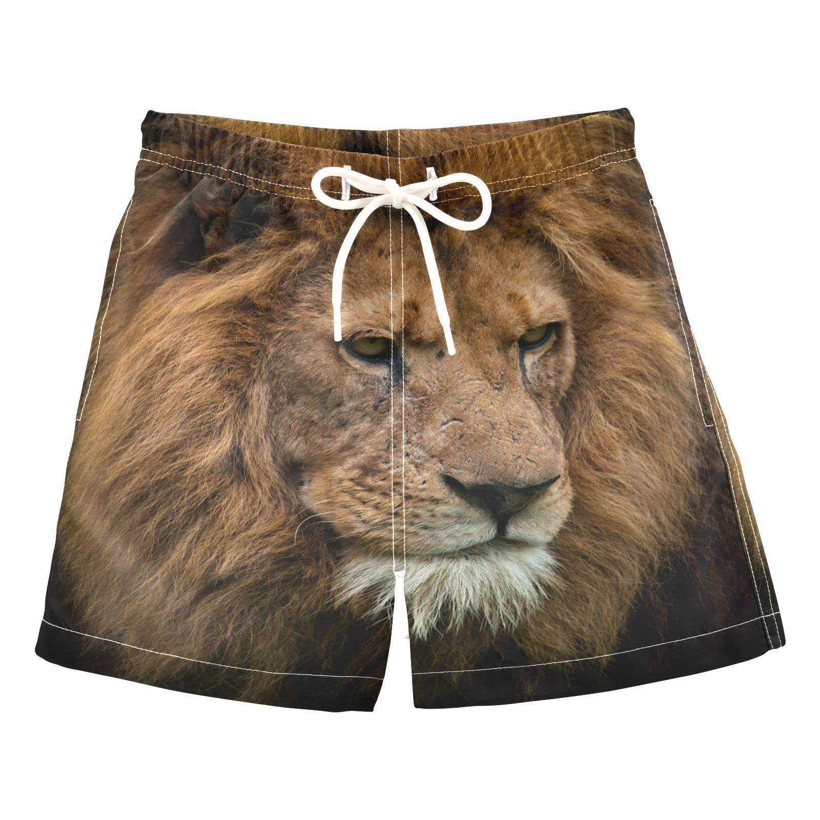 **King Lion Boys Swim Trunks for Toddlers 2-8 Years - Quick Dry Bathing Suits for Kids - Perfect for Pool, Beach & Summer Water Play**