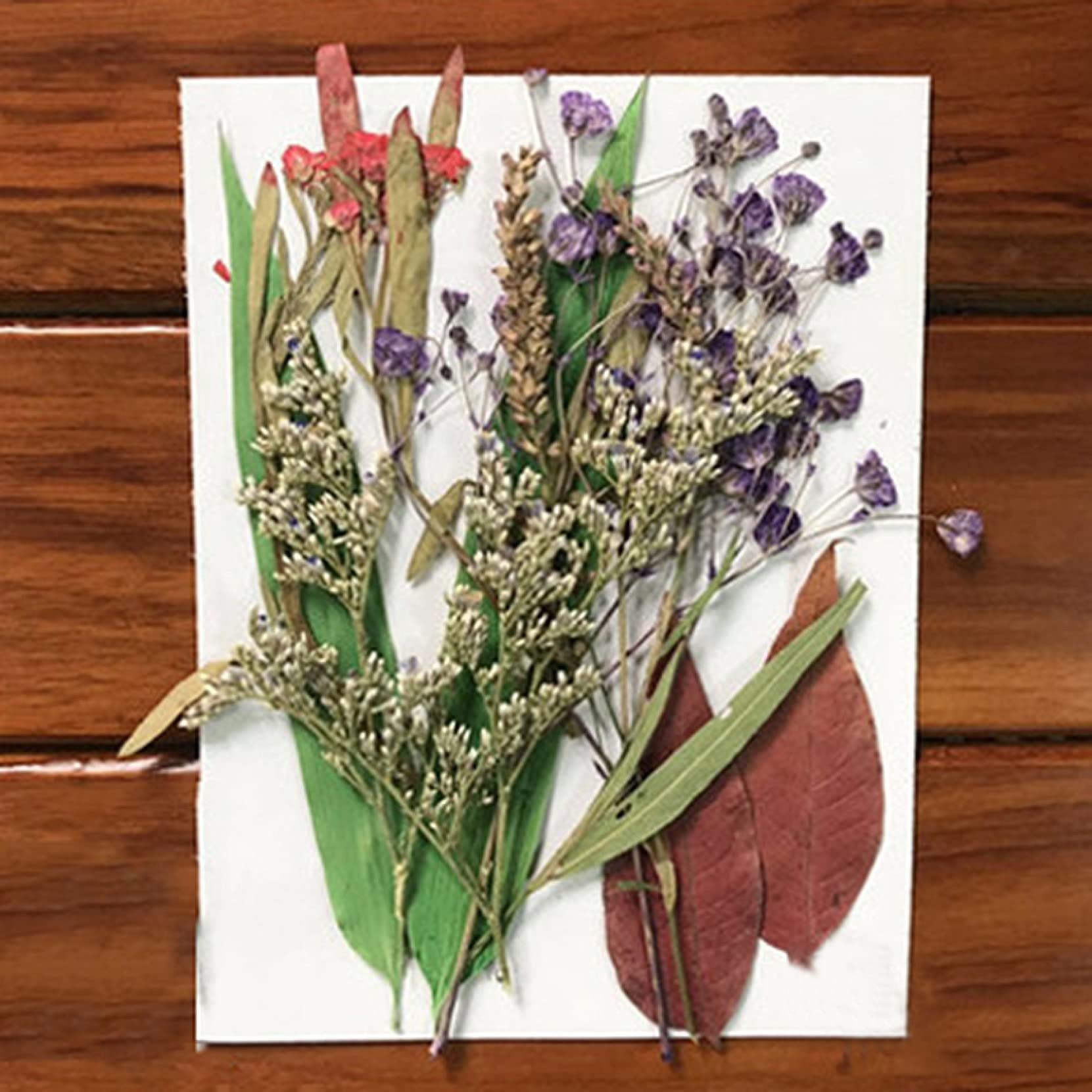 Pressed Flower Mixed Dried Flowers for Aromatherapy Candles, Greeting Cards, Epoxy Resin Crafts & DIY Jewelry Making - Perfect for Home Decor, Wedding Favors, and Handmade Gifts