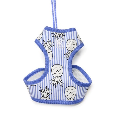 EasyGO Pineapple Blue Lightweight Travel Backpack - Perfect for Hiking, Camping & Everyday Use