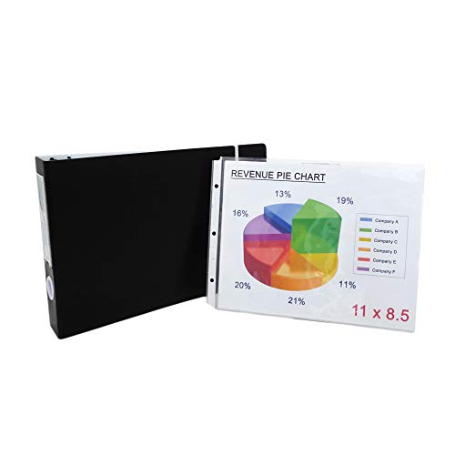 Binder + Matching Sheet Protectors (75 Sheets)
