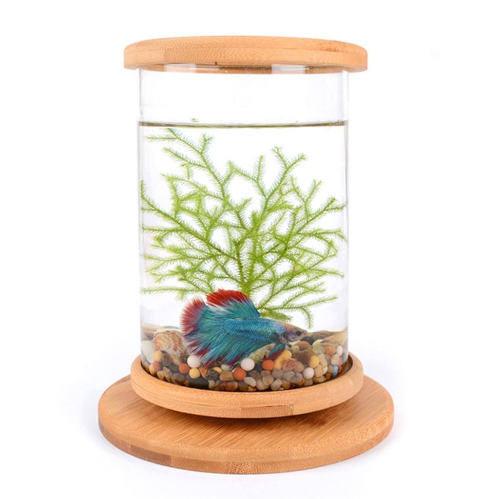 Mini Glass Fish Tank with Rotating Bamboo Base - 14.5 x 18cm Clear Ecological Aquarium Decor for Home, Office Desk, Zen Garden & Feng Shui Decorations