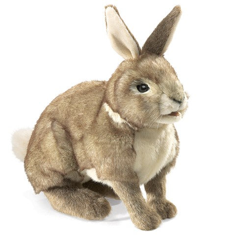 Folkmanis Realistic Cottontail Rabbit Hand Puppet - Soft Plush Animal Toy for Kids, Storytelling, and Educational Play - Perfect for Classroom, Theater, and Imaginative Play at Home