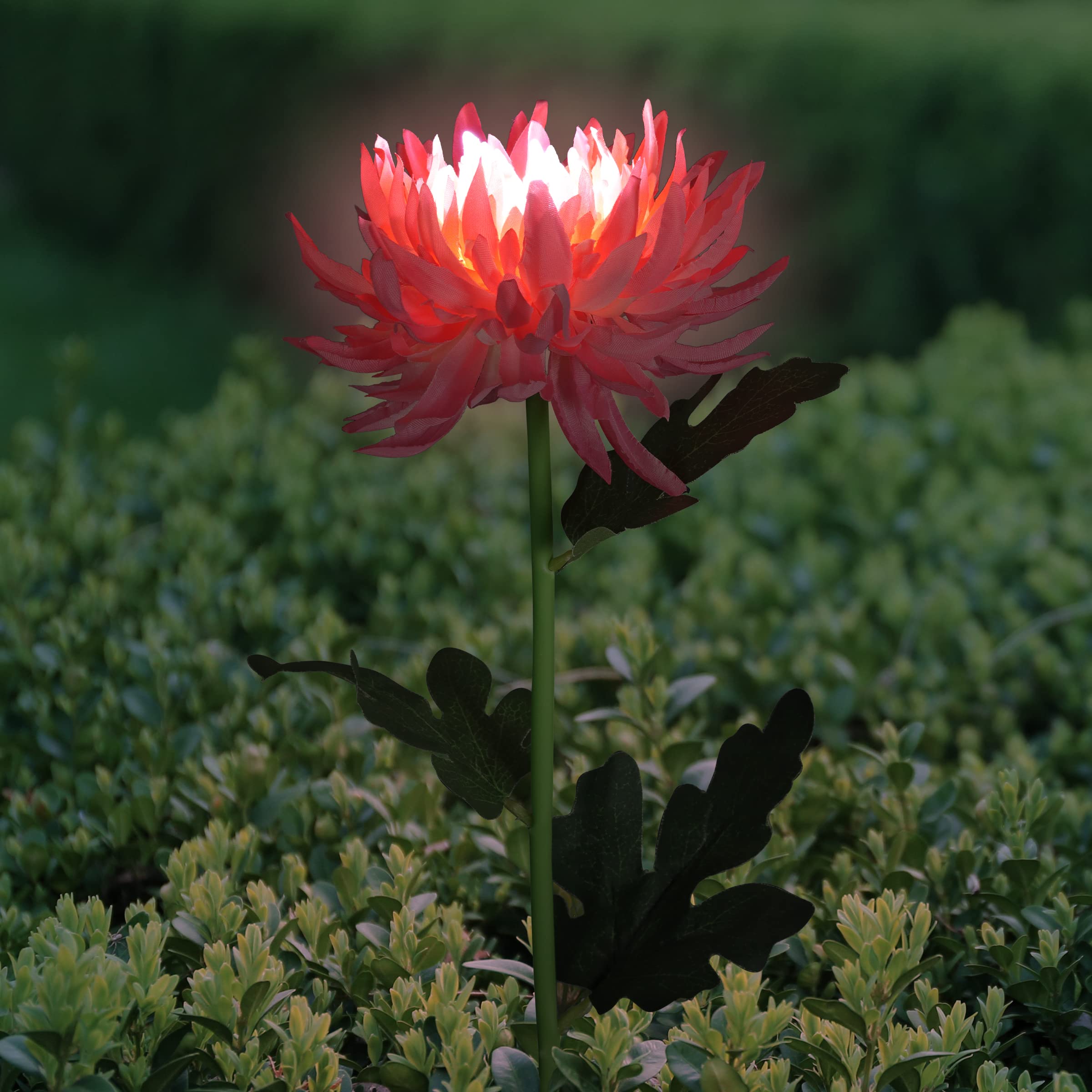 Solar Powered Pink Mum LED Garden Lights - Waterproof Outdoor Flower Stake Decor (5