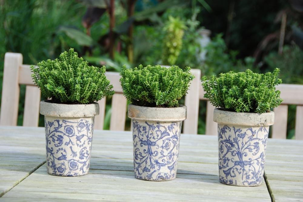 Esschert Design USA Ceramic Long Toms Flower Pots - Blue and White Hand-Painted Garden Planters for Indoor & Outdoor Decor - Perfect for Flowers, Herbs, and Succulents