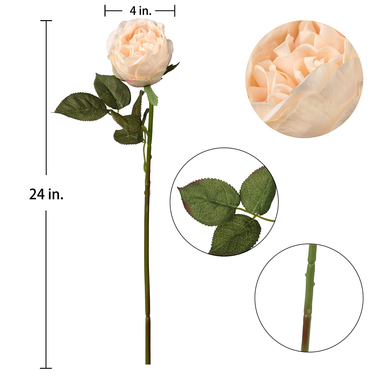 Real Touch Artificial Peony Flowers - 12 Pack Long Stem Faux Cabbage Roses for Wedding Bouquets, Home Decor, Centerpieces & Party Arrangements - Lifelike White Peony Blossoms for DIY Floral Displays & Table Decorations