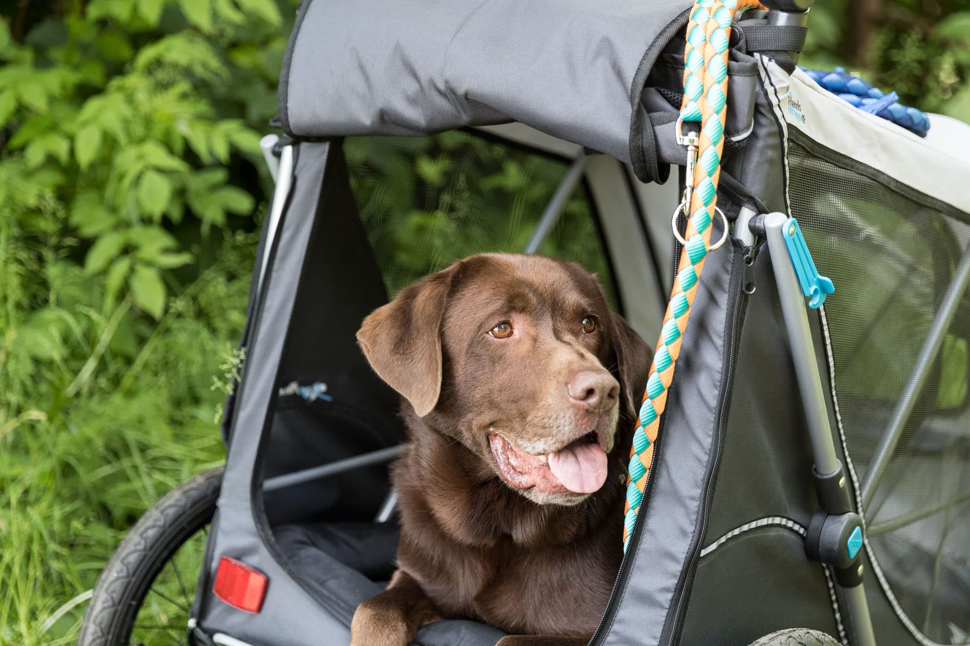 TRIXIE Quick-Fold Convertible Dog Bike Trailer & Pet Stroller - Easy Setup & Foldable Design for Cycling & Walking - Perfect for Outdoor Adventures with Your Pet