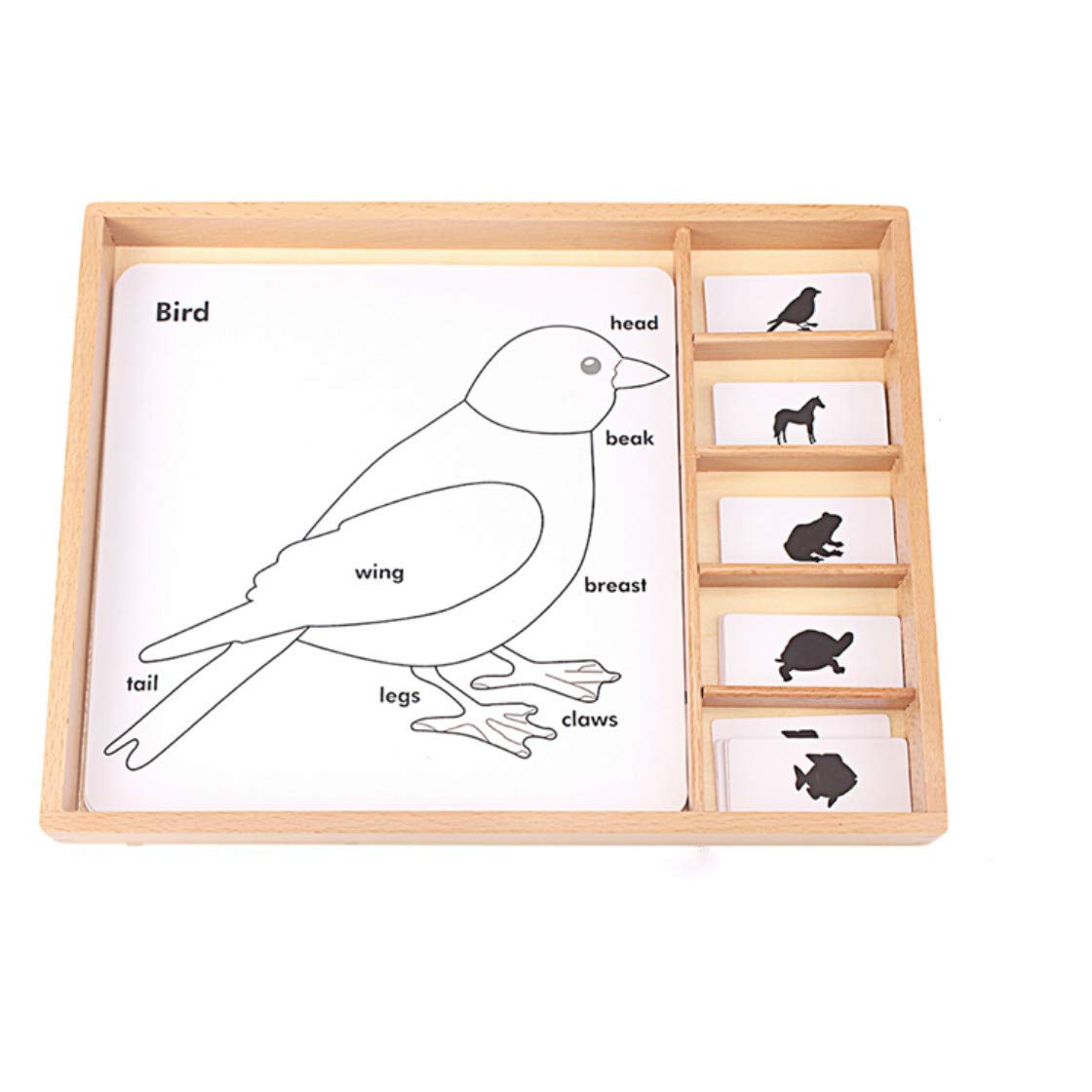 Montessori Botany Puzzles for Kids - Science Learning Toys with Animal & Plant Cards, PVC Wood Box - Educational English Games for Children | Perfect for Homeschooling & Classroom STEM Activities