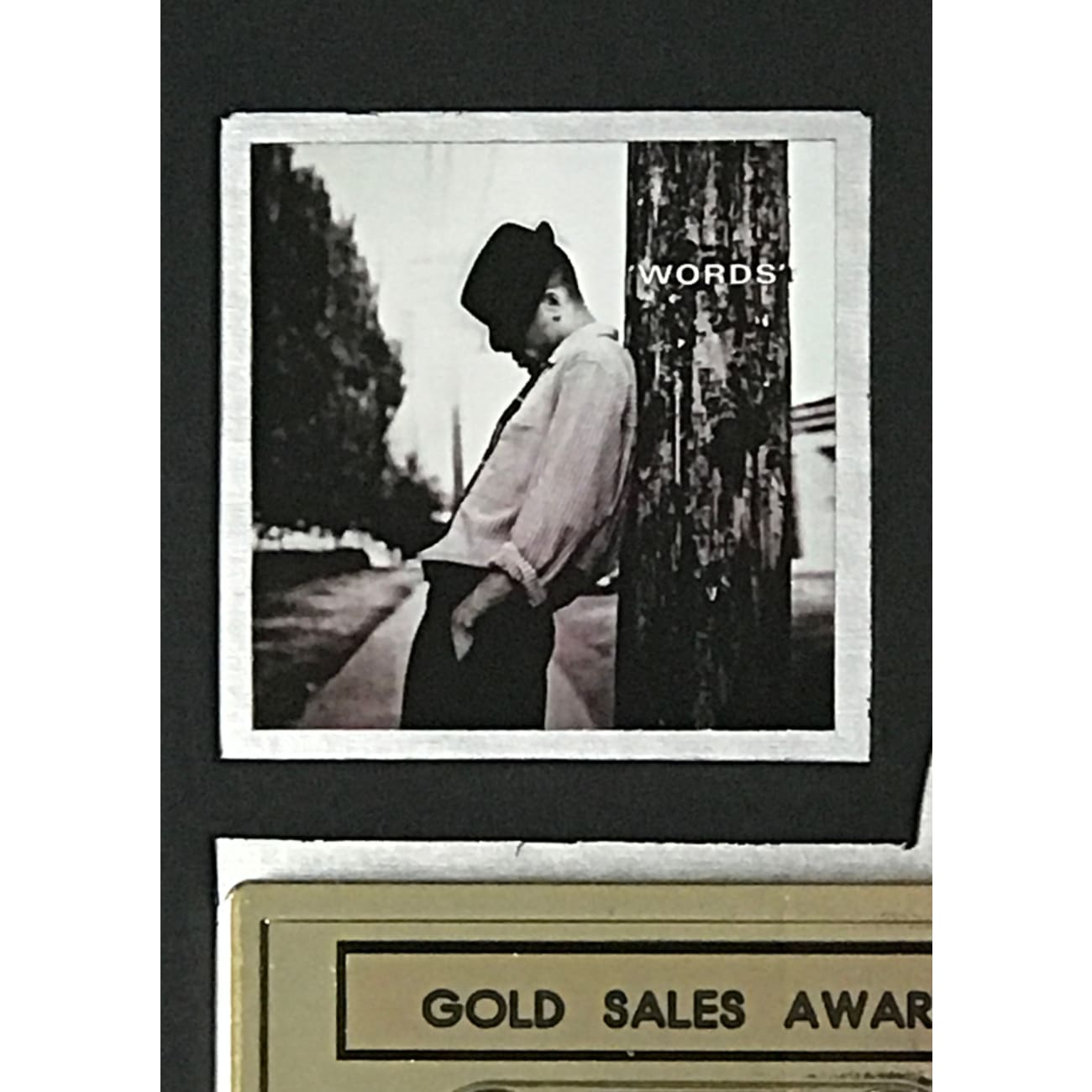 Tony Rich Project Words RIAA Gold Album Award - Certified Music Collectible for Fans & Memorabilia Enthusiasts - Perfect for Display in Home, Office, or Music Studio