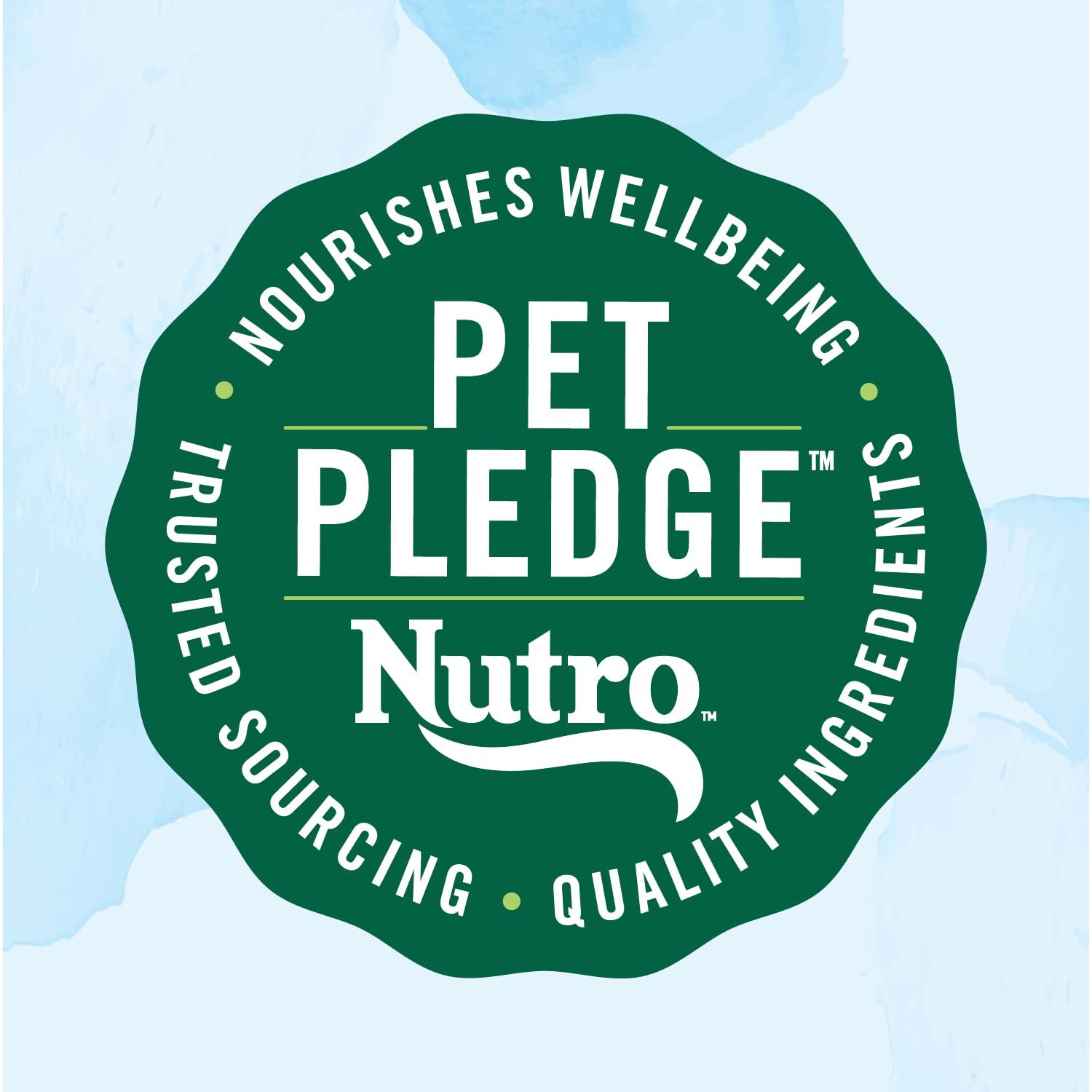 NUTRO Limited Ingredient Diet Lamb & Sweet Potato Recipe Adult Dry Dog Food - Grain Free, Natural Ingredients for Sensitive Stomachs - 22lb Bag for Large & Medium Breed Dogs - Perfect for Daily Meals & Digestive Health Support