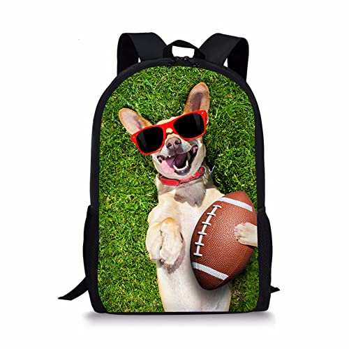 Chihuahua Dog