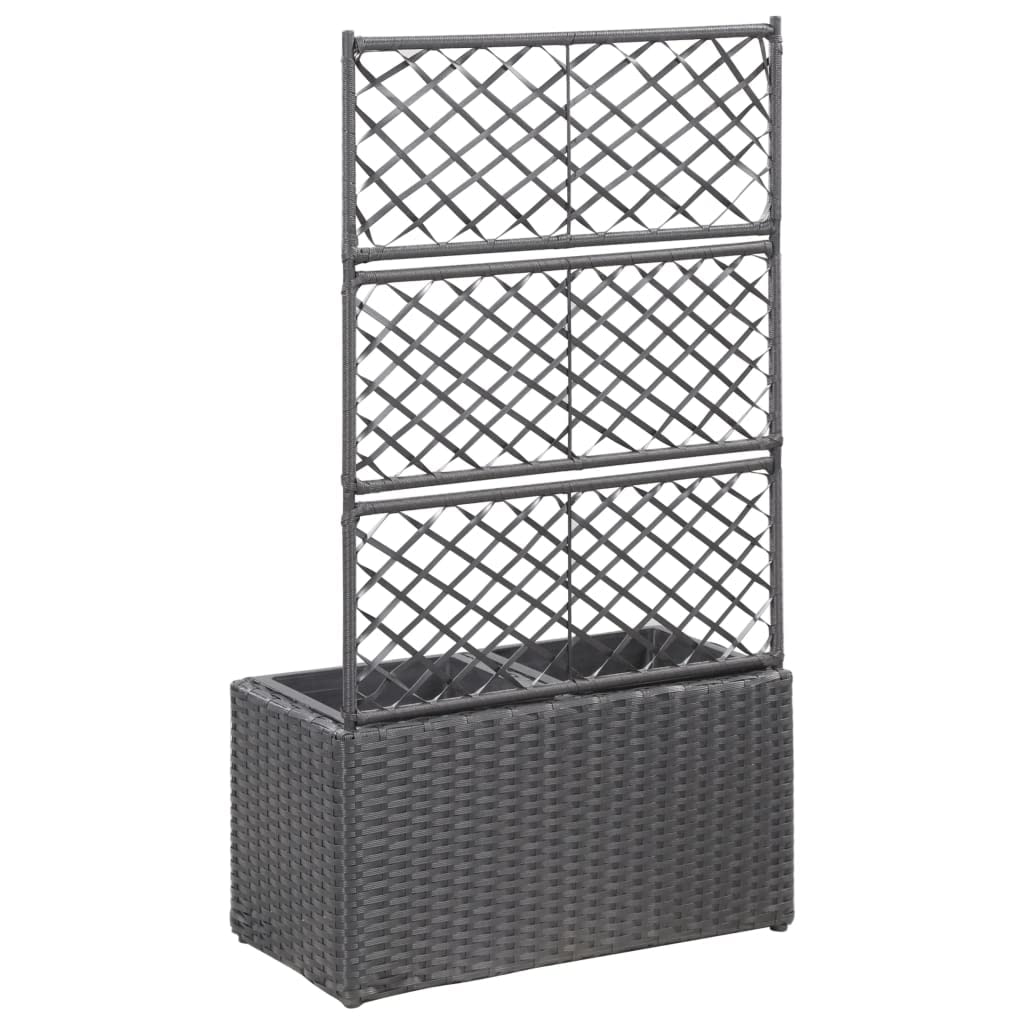 Black Poly Rattan Trellis Raised Garden Bed for Vines, Climbers, Vegetables & Flowers - Freestanding Elevated Planter with 2 Pots (22.8