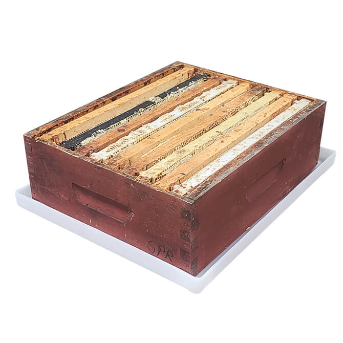Premium Honey Super Drip Tray - Beekeeping Essential for Hive Maintenance & Honey Collection | Perfect for Backyard Beekeepers & Apiaries