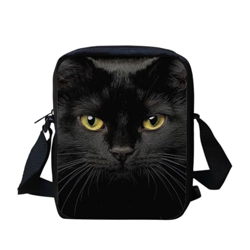 A Black Cat