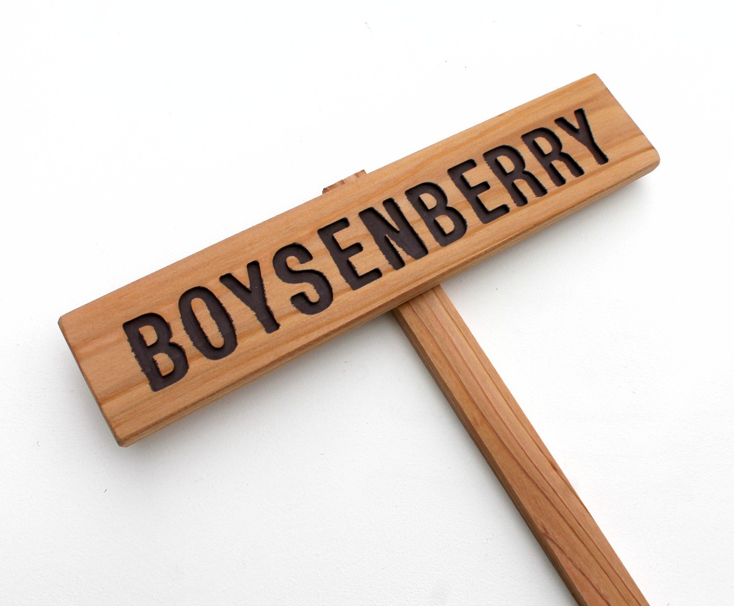 Boysenberry Garden Sign - Custom Berry & Fruit Marker for Outdoor Yard Art - Summer Berries Signage - Perfect for Garden Decor & Farmhouse Style Landscaping