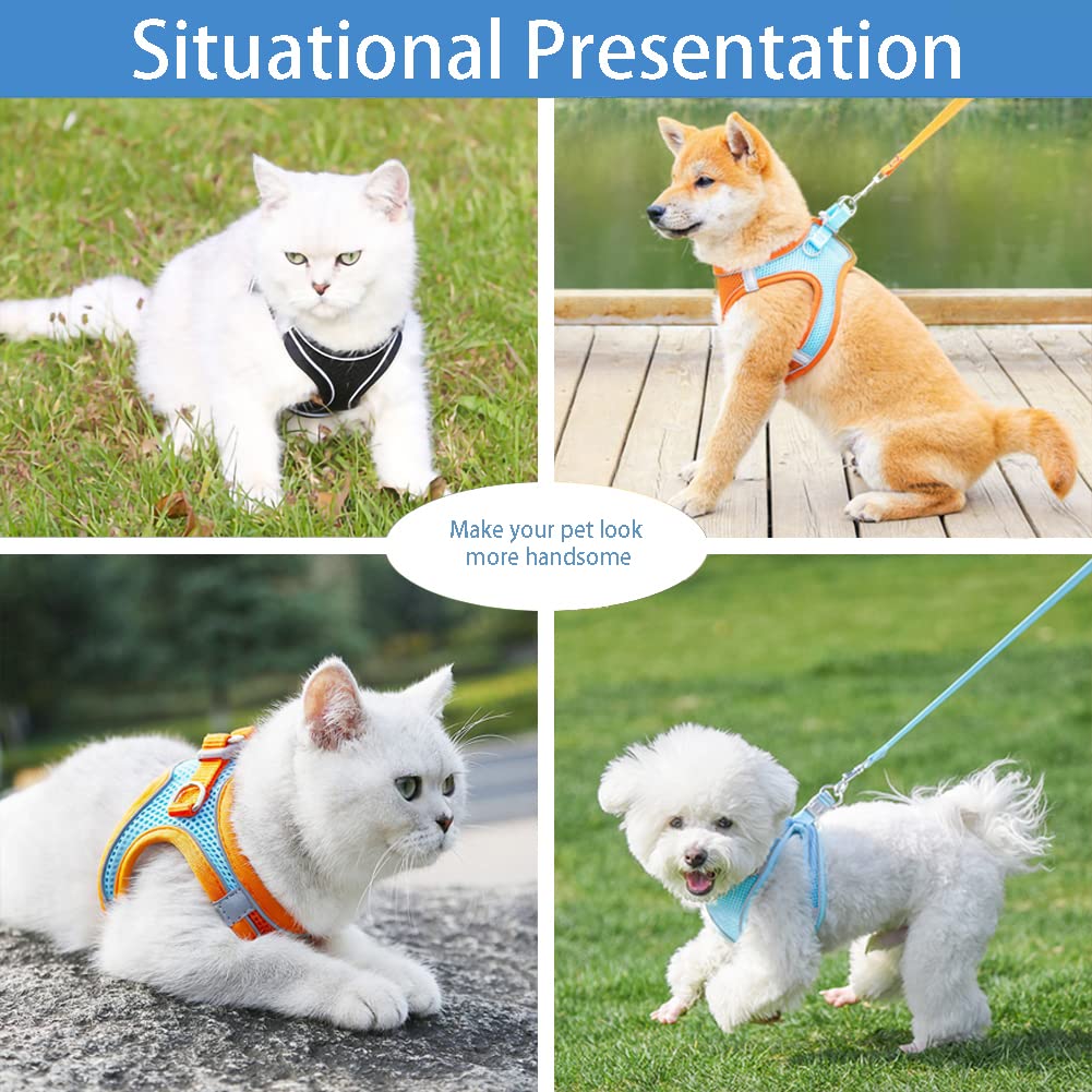 No-Pull Adjustable Mesh Cat & Small-Medium Dog Harness with Leash - Step-in Vest for Puppies & Small Breeds - Comfortable Walking Pet Harness Set for Daily Walks, Hiking & Outdoor Adventures