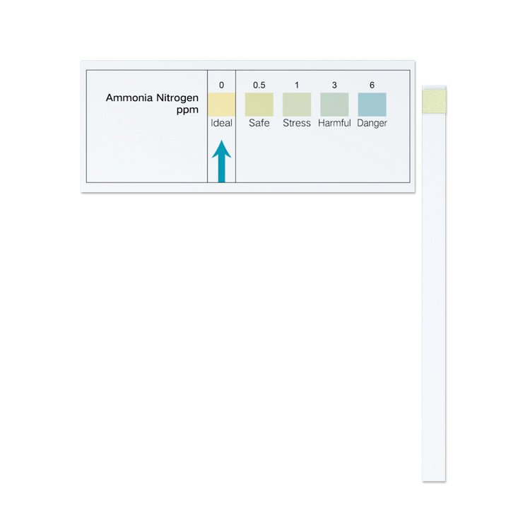 Ammonia Aquarium Test Strips - Fast & Accurate Water Testing Kit for Fish Tanks, Ponds & Aquariums - Monitor NH3 Levels for Healthy Fish & Aquatic Life (50 Strips) - Perfect for Freshwater & Saltwater Tanks