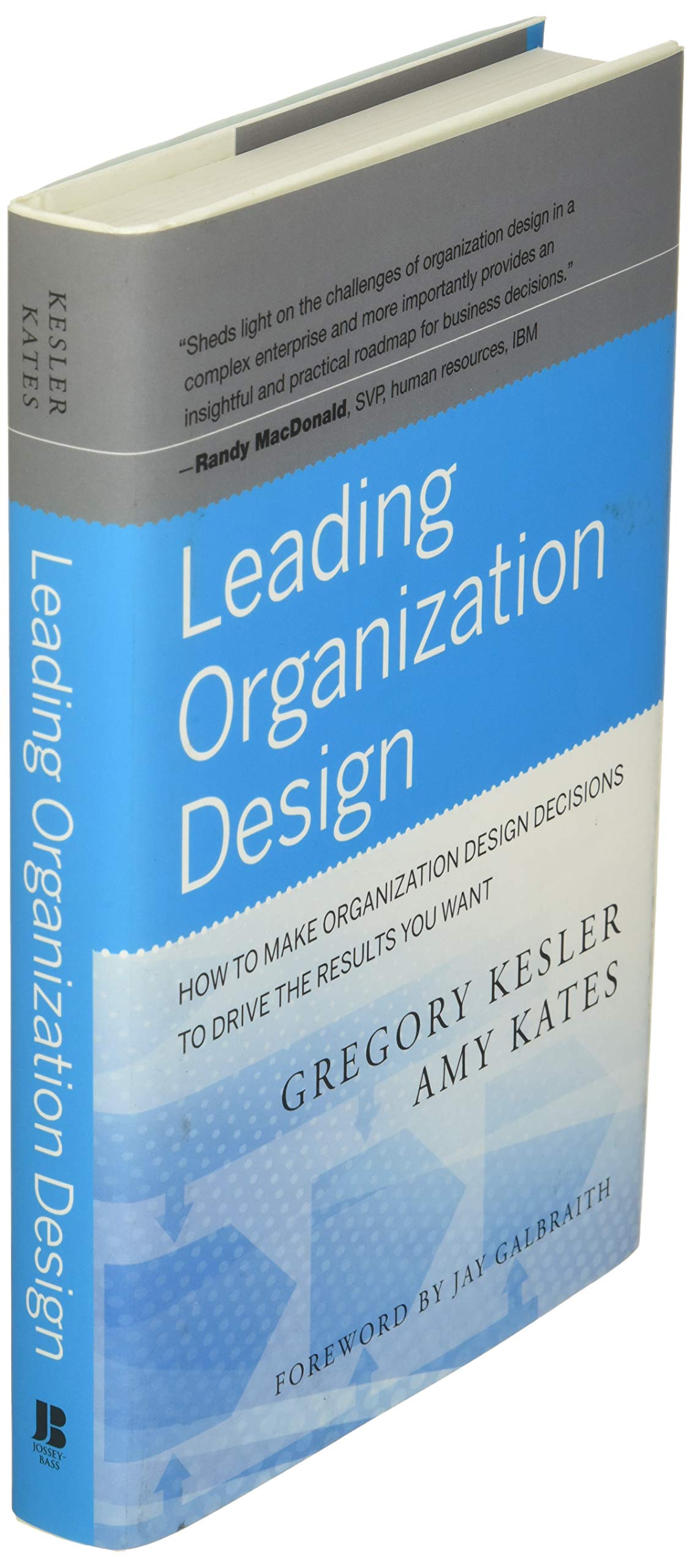 Leading Organization Design: Strategic Decisions to Drive Results for Business Growth and Team Efficiency