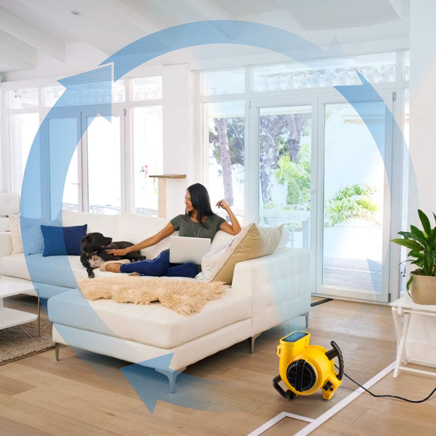 DEWALT 276W 3-Speed Portable Air Mover & Utility Blower Fan - 1/5 HP 600 CFM Floor Dryer for Carpet, Home & Commercial Use | Fast Drying for Water Damage, Janitorial Cleaning & Construction Sites (Model DXAM-2260)