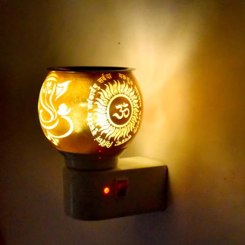 OM & GANESH