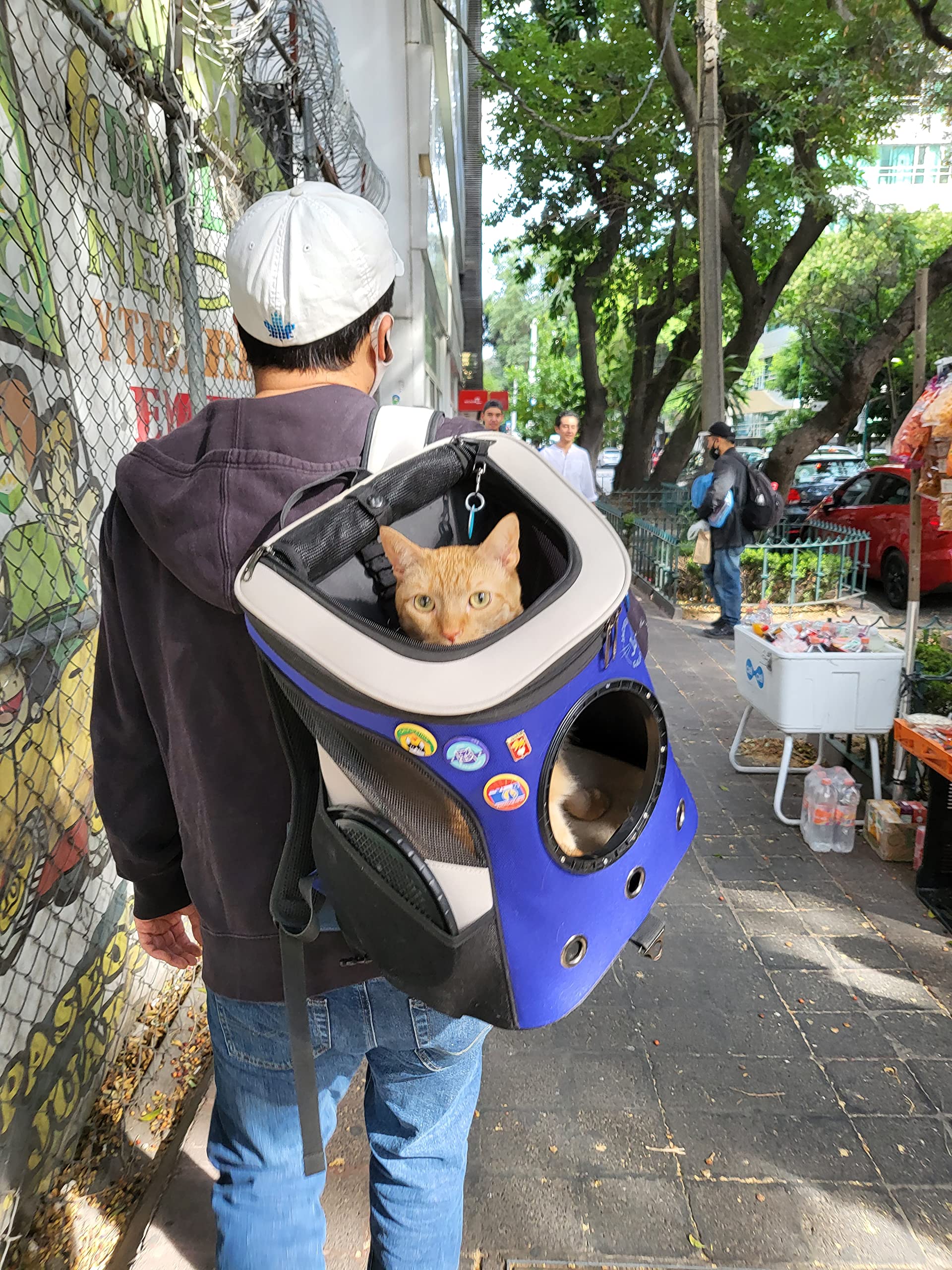 **Jackson Galaxy Airline Approved Cat Backpack Carrier - Space Capsule Bubble for Small Cats & Kittens - Premium Pet Carrier for Travel, Hiking & Outdoor Adventures - Perfect for Vet Visits, Road Trips & Daily Commutes**