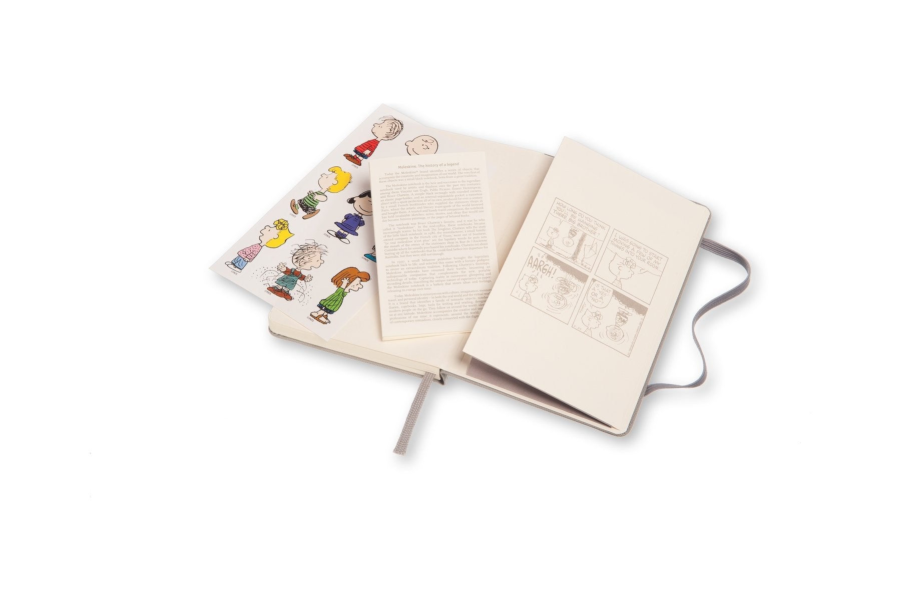 Moleskine Peanuts 18-Month Weekly Planner Pocket - Large Size | Perfect for School, Work & Travel Organization