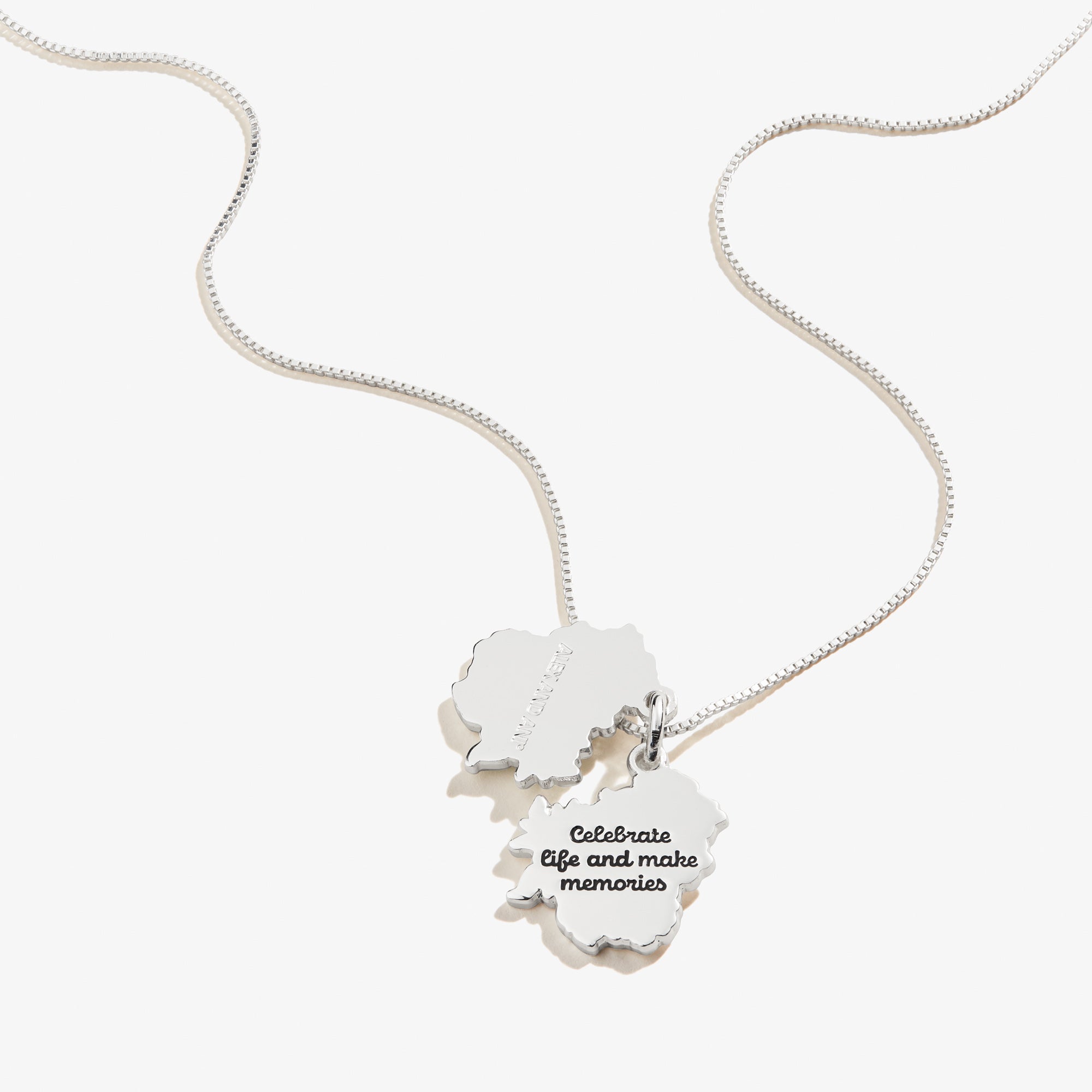 Delphinium Flower 'Celebrate Life And Make Memories' Sterling Silver Necklace - Perfect for Anniversaries, Birthdays & Special Occasions