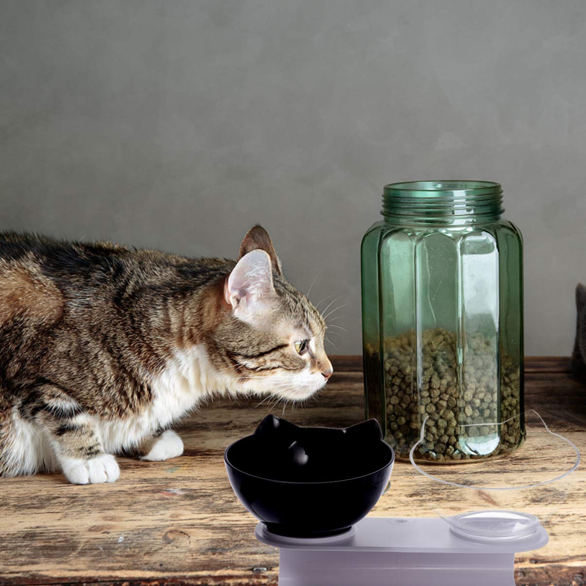 VOSAREA Elevated Double Pet Bowls for Dogs and Cats - Tilted Raised Food & Water Feeder with Stand - Stress-Free Eating for Small Dogs, Puppies & Kittens - Perfect for Home, Travel, and Outdoor Use