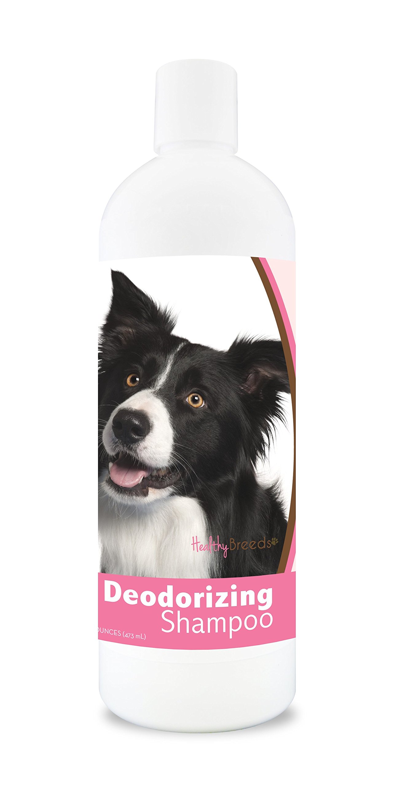 Healthy Breeds Border Collie Deodorizing Shampoo 16 oz - pH Balanced Dog Shampoo for Odor Control & Fresh Coat | Perfect for Bathing, Grooming & Smelly Dogs