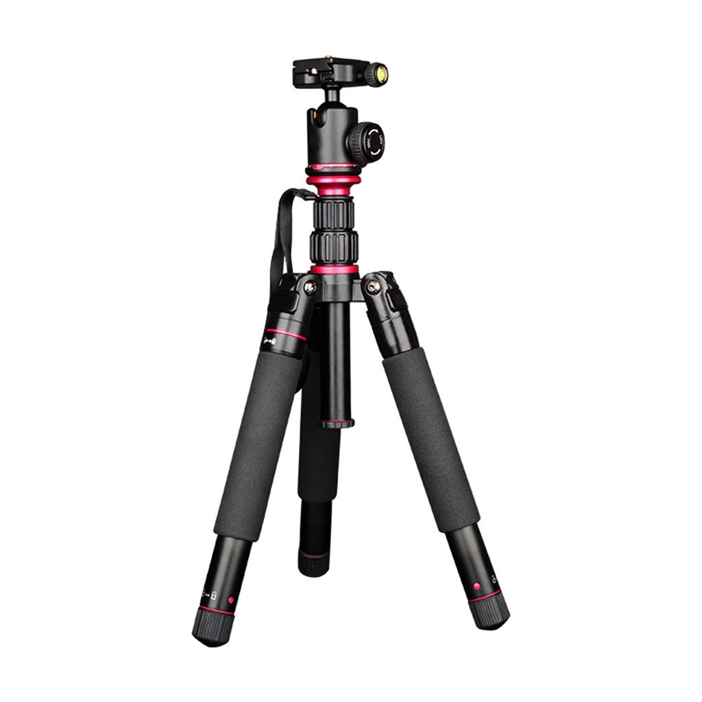 59-inch Lightweight Aluminum Camera Tripod with 360° Ball Head & Carry Bag - Professional Travel & Video Shooting Tripod for DSLR, Mirrorless Cameras - Perfect for Outdoor Photography, Vlogging, and Studio Work